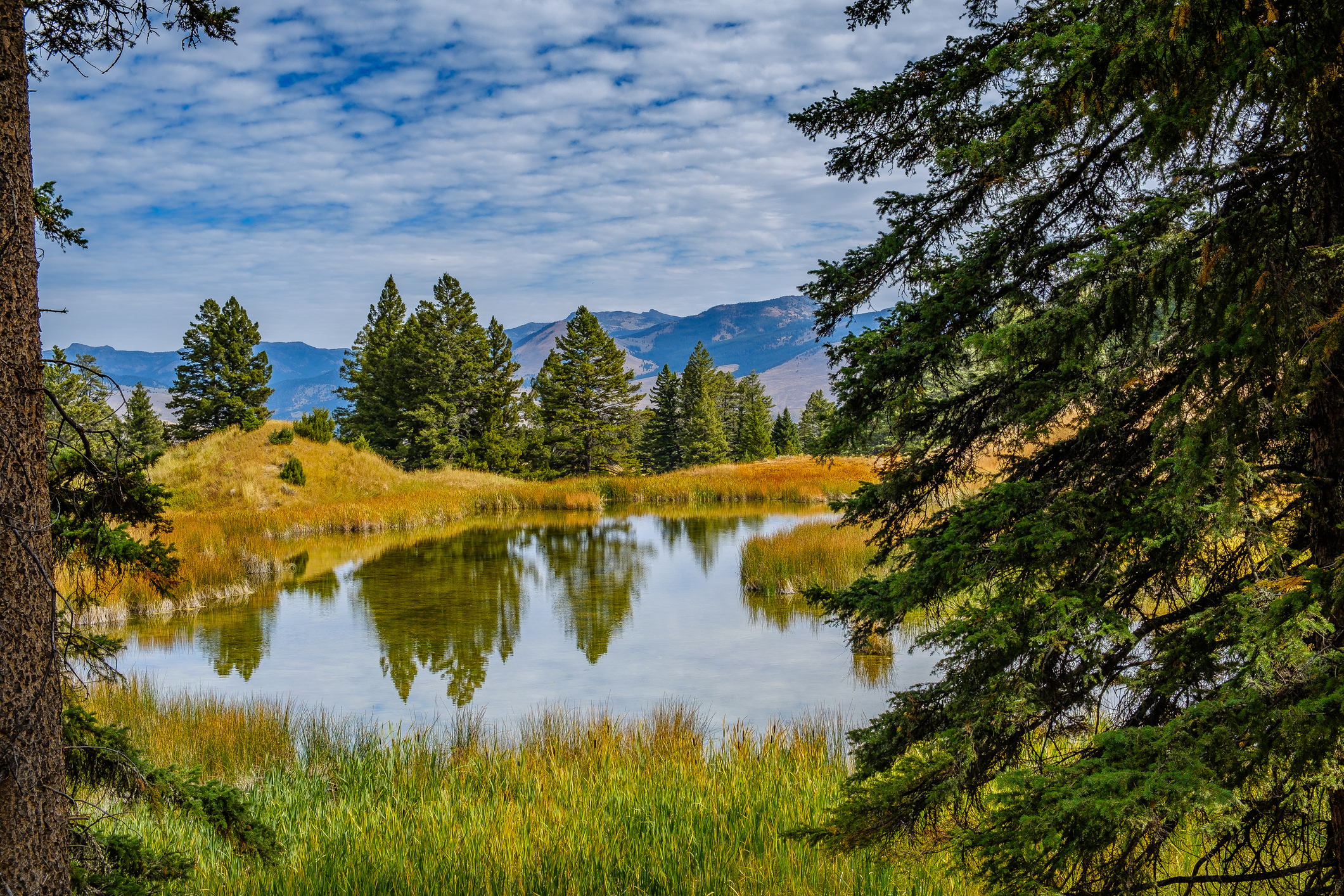 The Best Fall Hikes In Yellowstone - Explore Gear