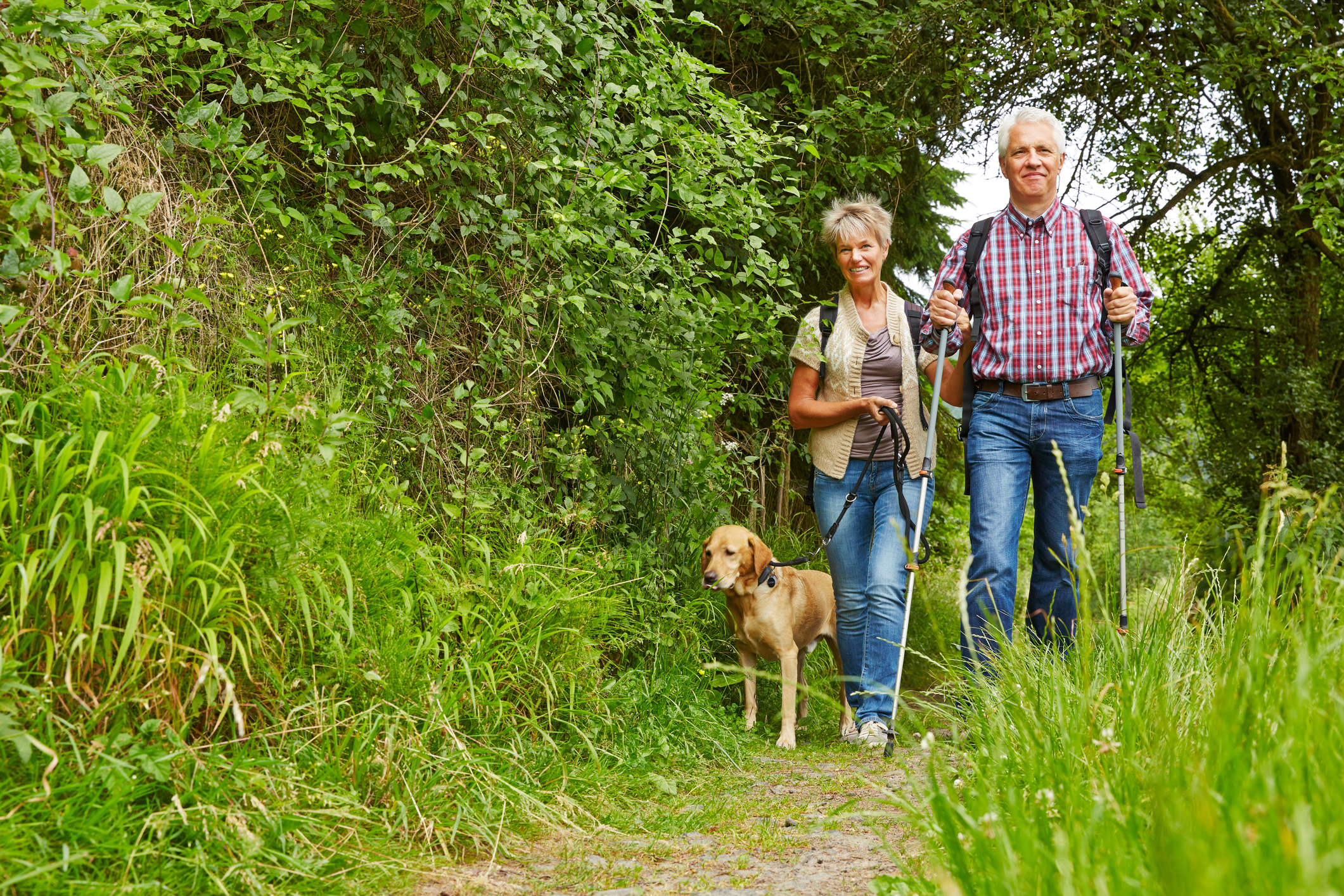 Tips for hiking with your dog - Explore Gear