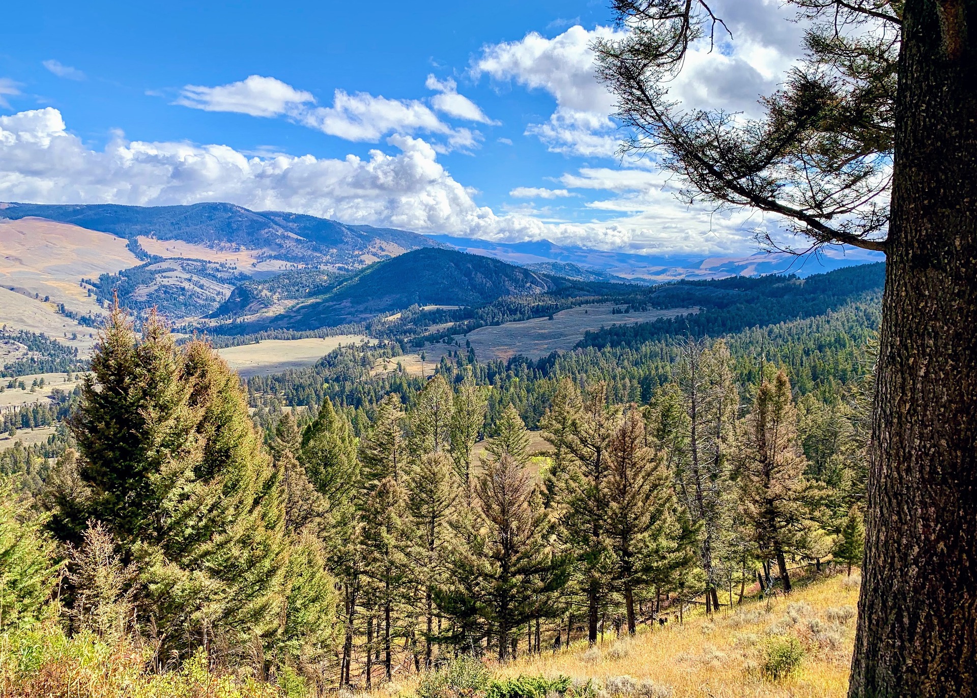 The Best Fall Hikes In Yellowstone