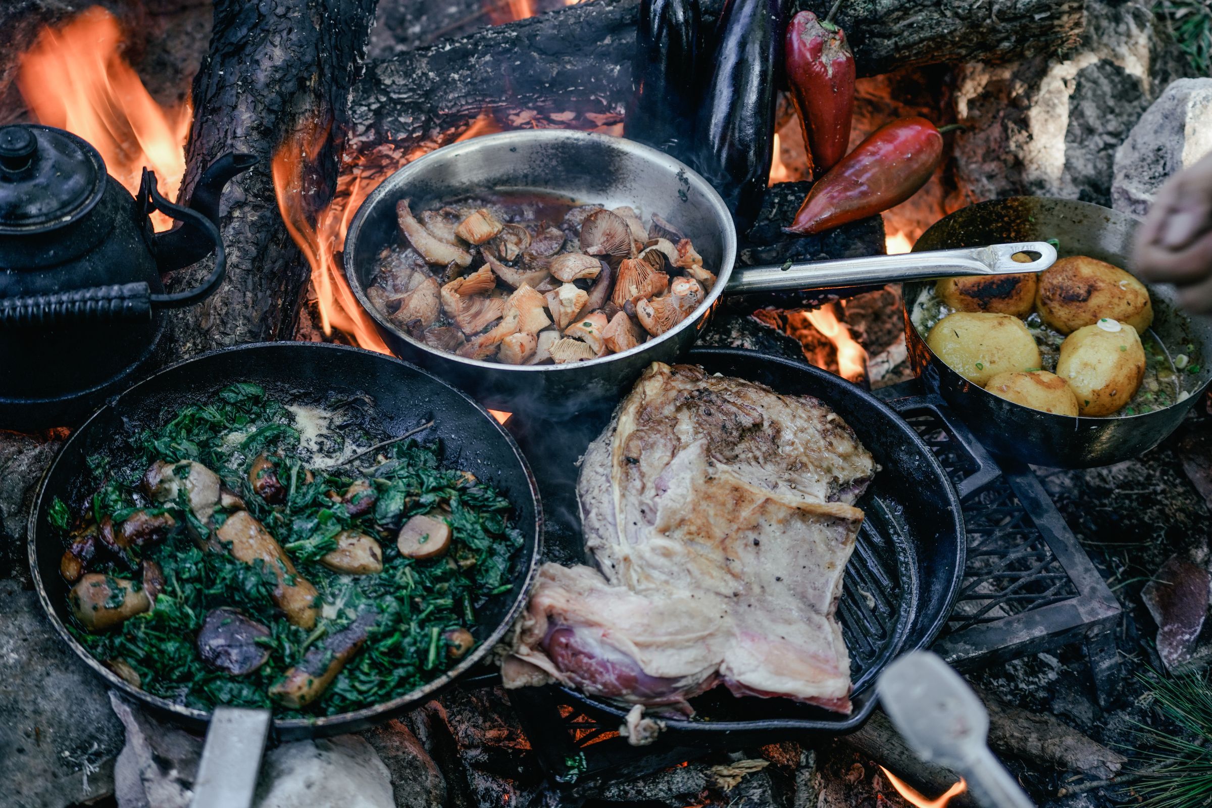 ExploreGear.com | Campfire bushcraft cooking with wild ingredients and minimal gear.