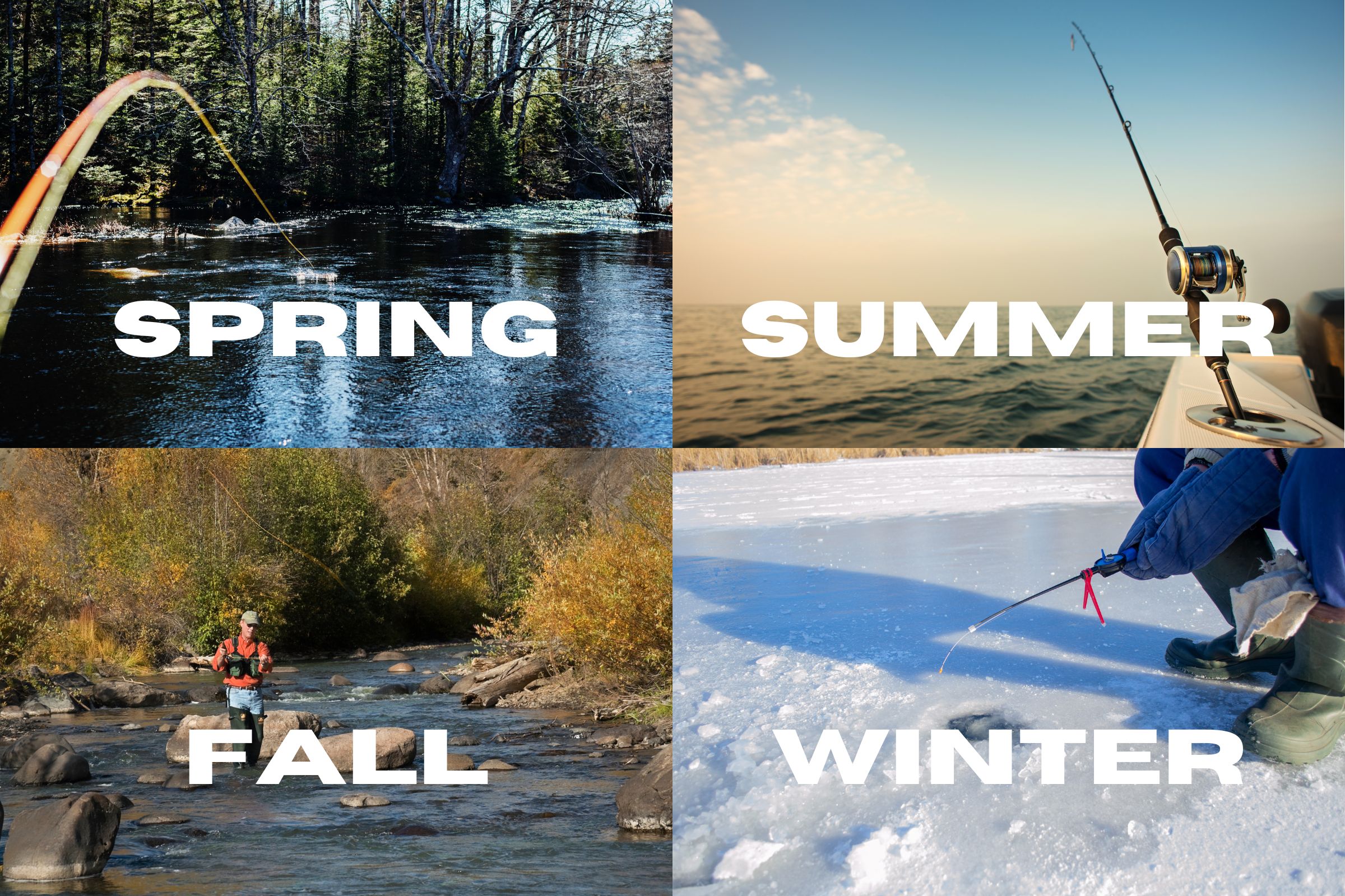 A collage from ExploreGear.com showcasing fishing across all seasons: a springtime river scene with a bending rod, a summer ocean fishing rod setup, a fall angler standing in a stream surrounded by autumn colors, and winter ice fishing with a rod and hole in the frozen surface.