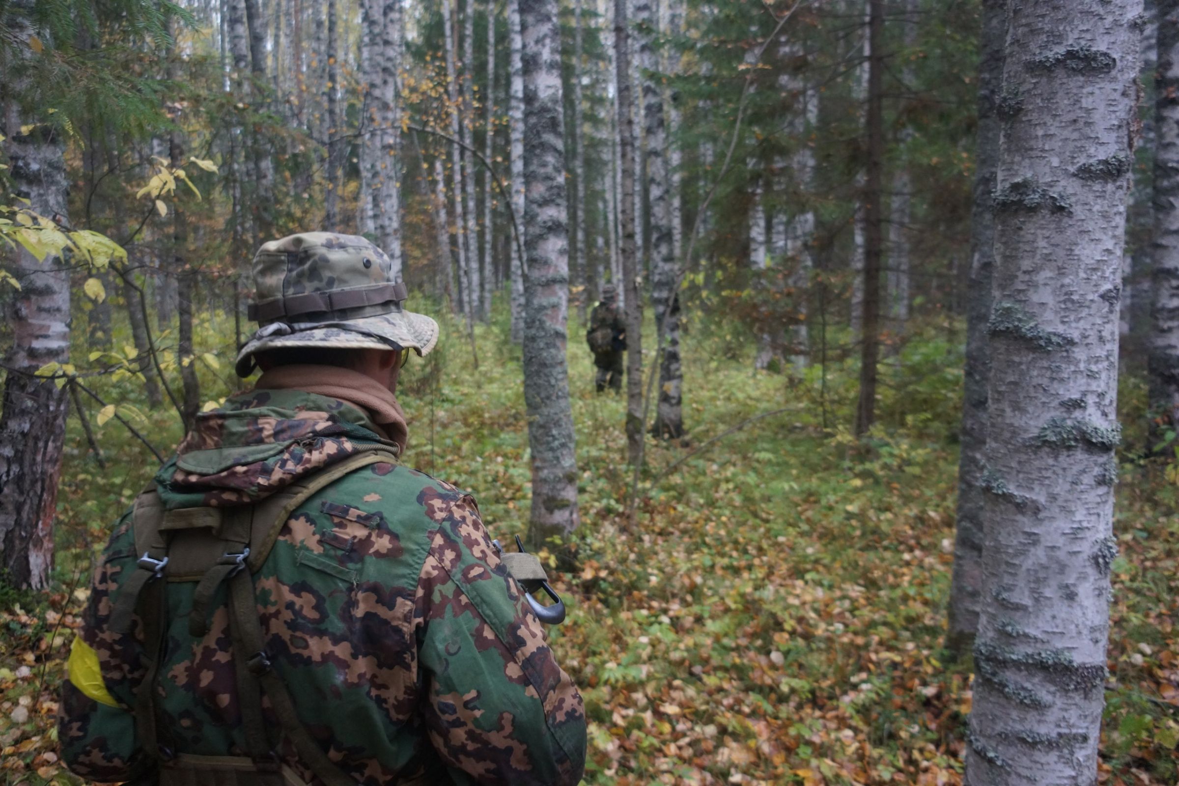 ExploreGear.com | Hunter wearing camouflage clothing walking through a dense forest with birch trees and autumn foliage.