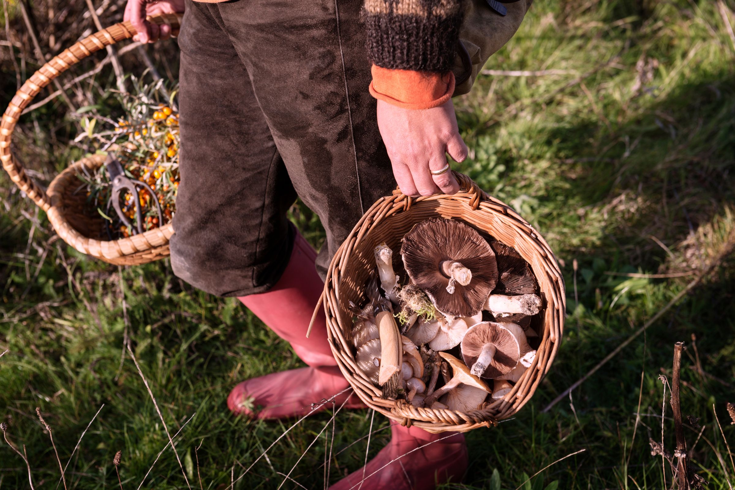 ExploreGear.com | Foraging wild mushrooms and herbs in a woven basket