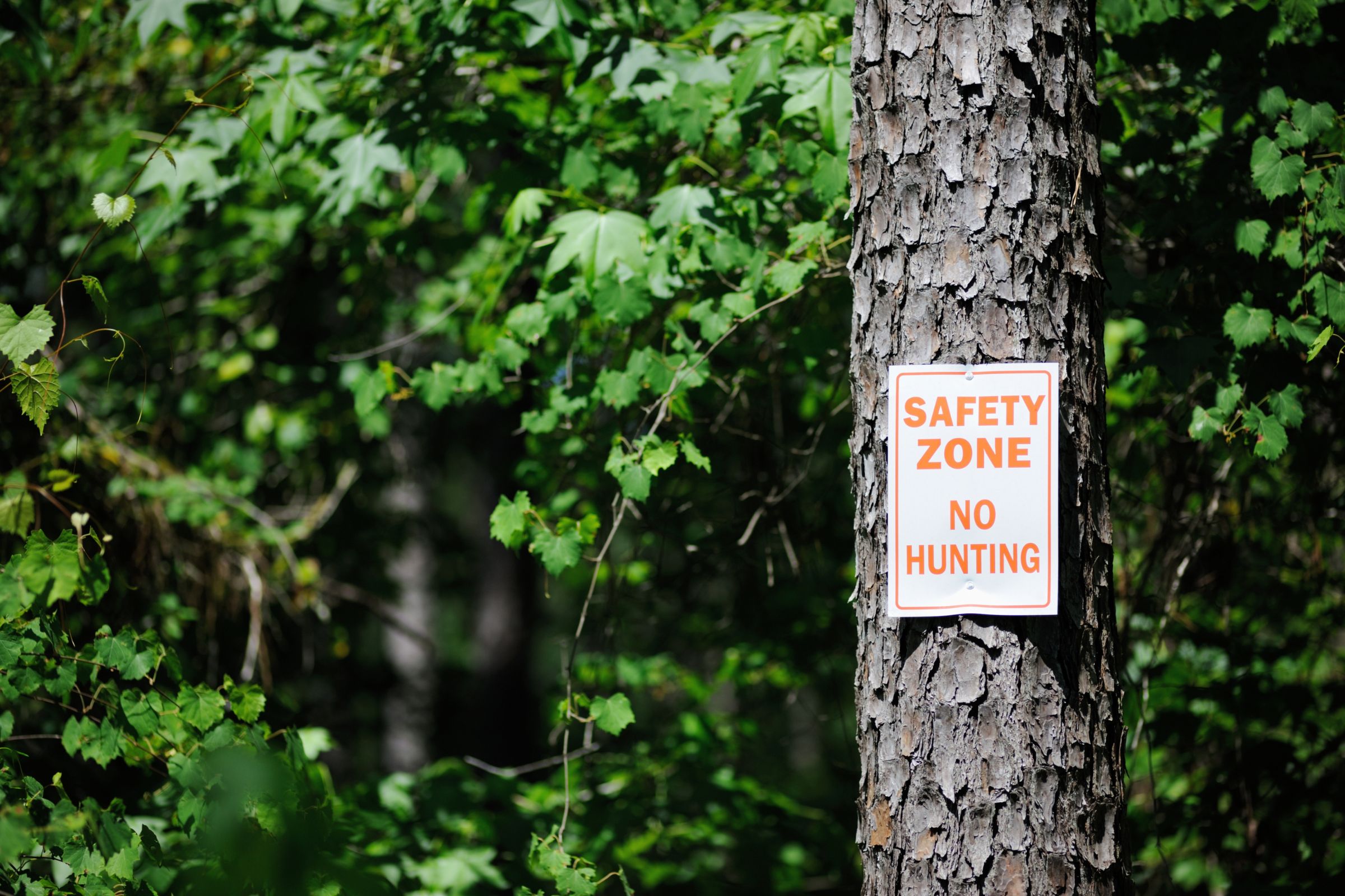 ExploreGear.com | Safety zone sign on tree ensuring no hunting allowed."