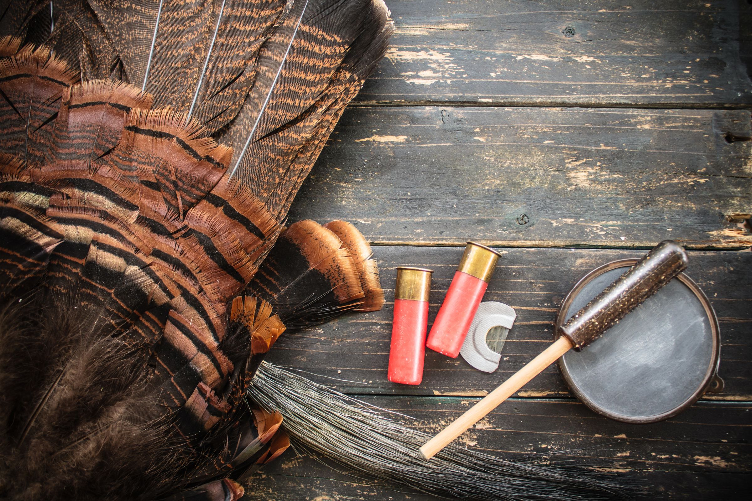 ExploreGear.com | Turkey feathers, hunting calls, and shotgun shells on wooden table.