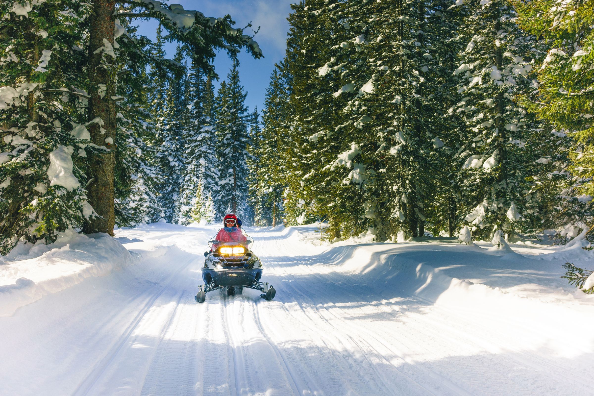 ExploreGear.com | Snowmobiling in snowy forest with vibrant winter landscape.