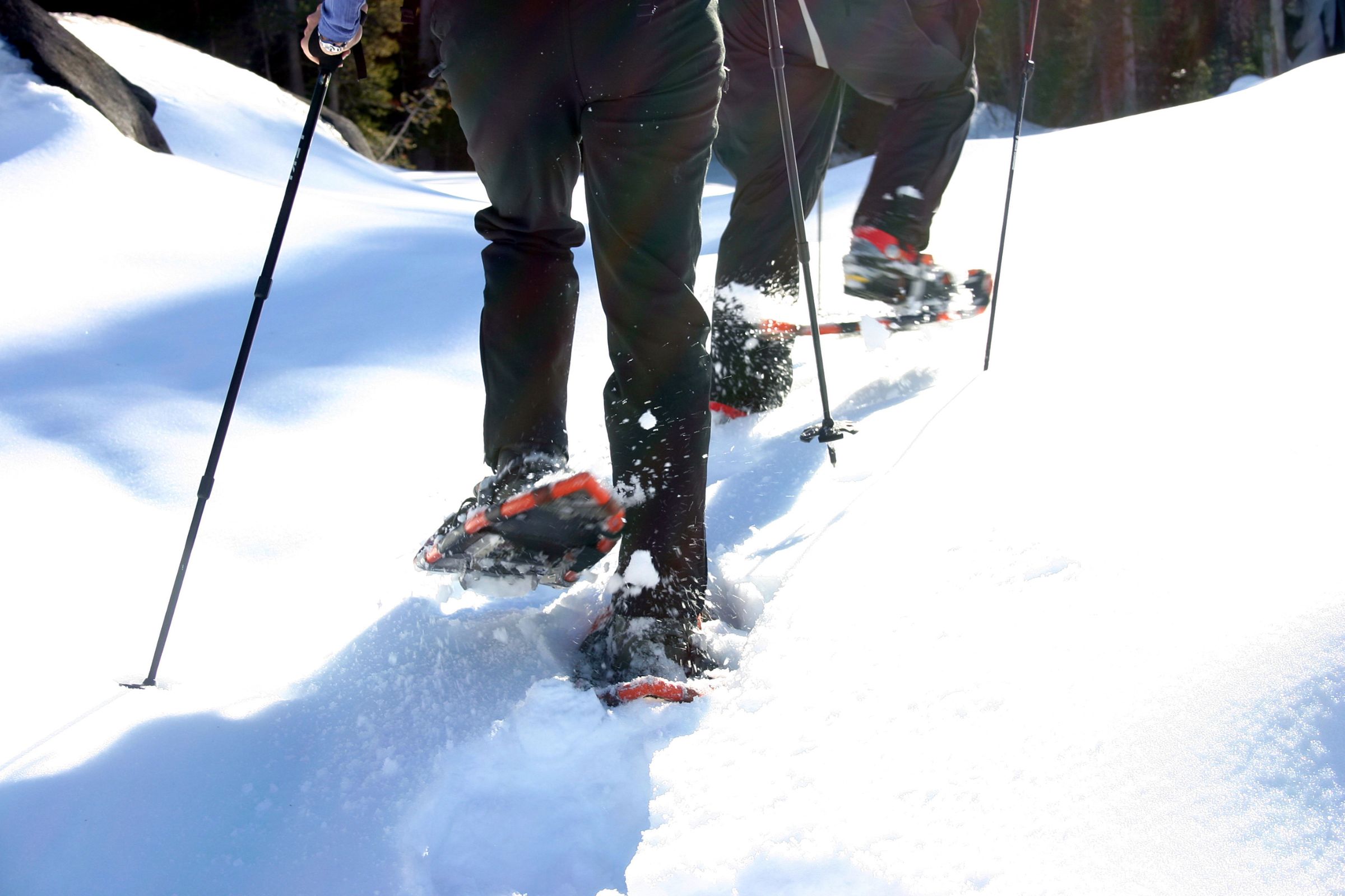 ExploreGear.com | Two people snowshoeing on a sunny winter trail.