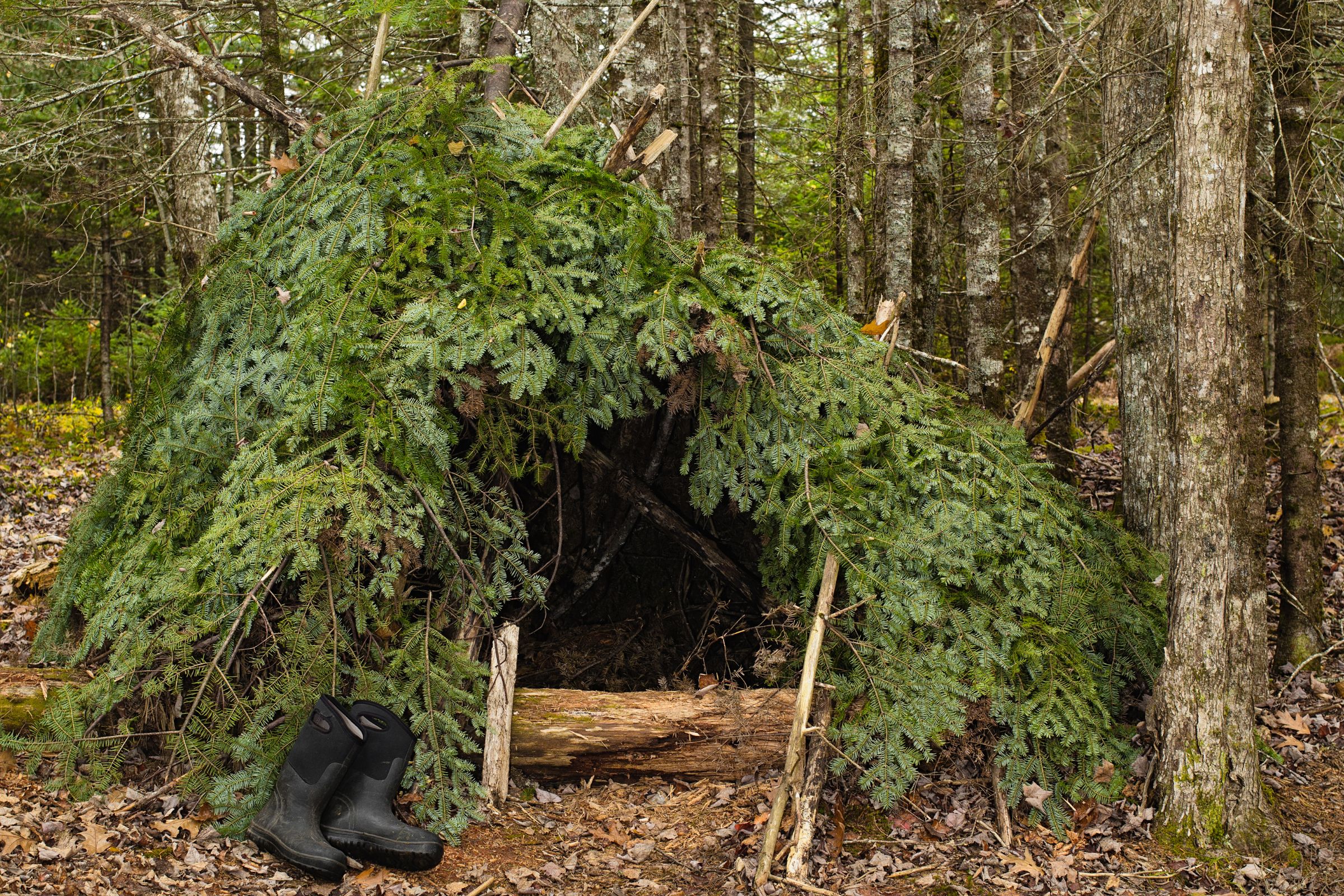 ExploreGear.com | Natural forest survival shelter made from evergreen branches and logs