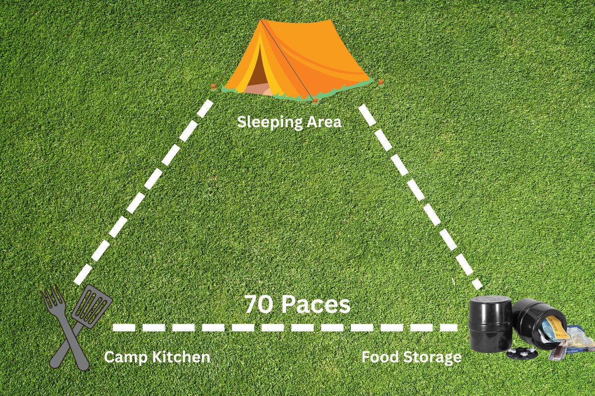 The Bear-muda Triangle: Your Guide to Safe Camping