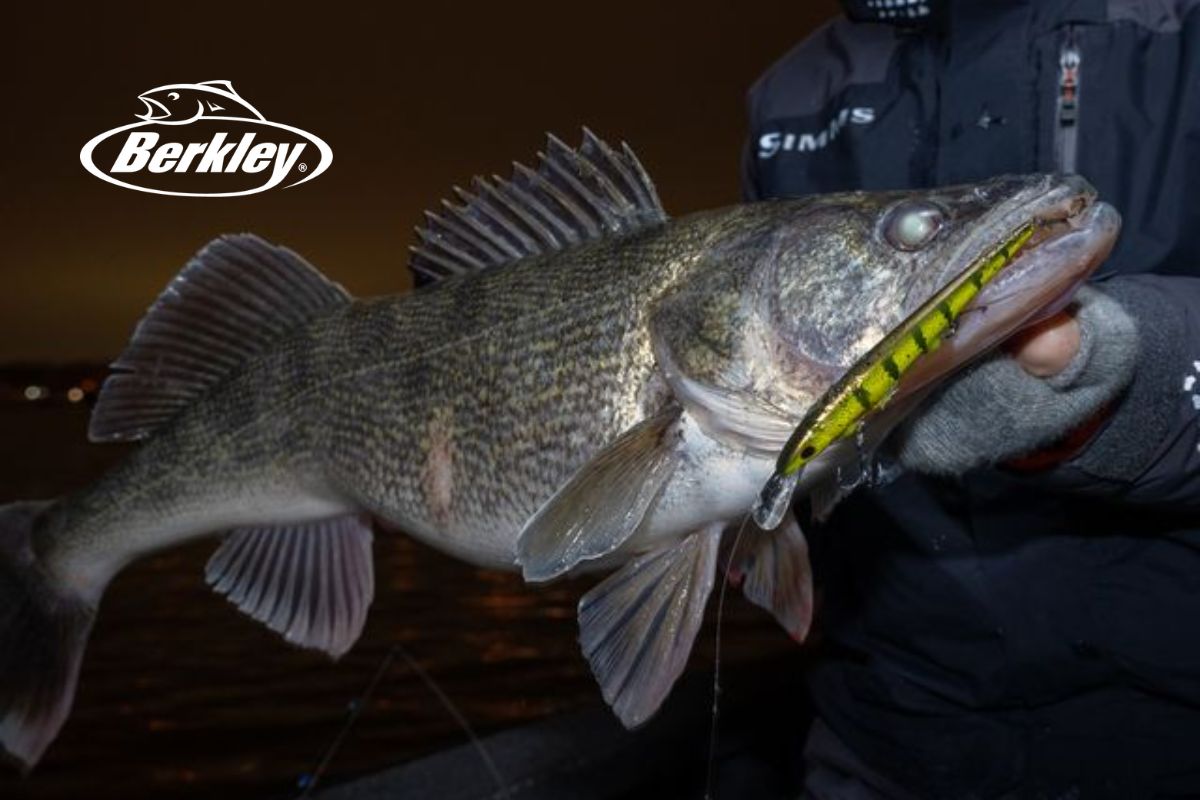 Master the Fishing Waters with Berkley Trolling Baits