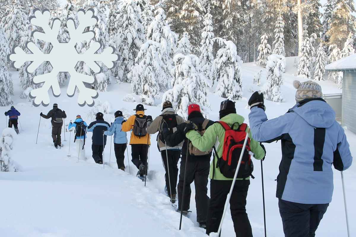 What is Snowshoeing